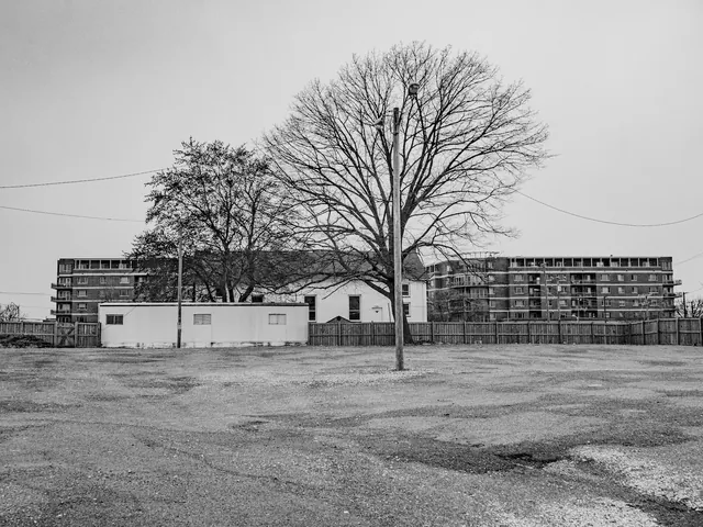 No. 41, 12 March 2023