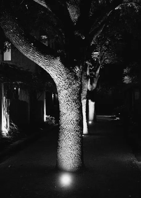 No. 161, 24 April 2023