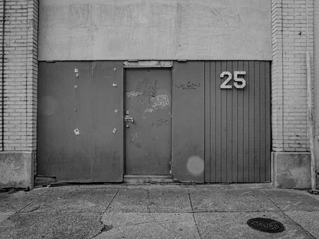 No. 243, 13 July 2023