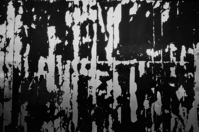 No. 407, 26 September 2025